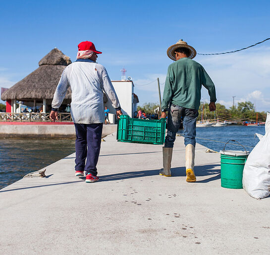 fishermen-carry-shrimp