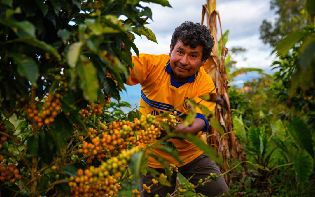 Coffee Industry Comes Together to Address Pressing Sustainability & Supply Chain Matters
