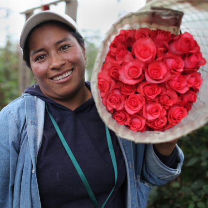 mujer-sosteniendo-rosas-fair-trade-certified-recién-recolectadas woman-holding-fair-trade-certified-roses