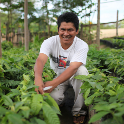 cepicafe-grower-in-field-fair-trade-certified cepicafe-grower-in-field-fair-trade-certified