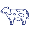 icon-of-cow-dairy-standards