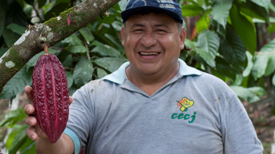 man-holding-cocoa-pod-on-multi-crop-farm
