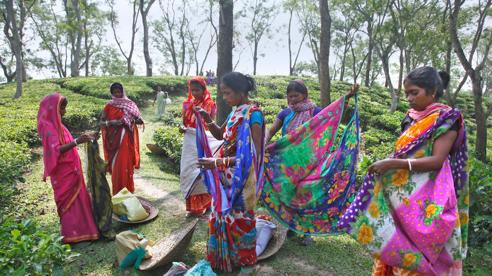 Gender Equality and Women’s Empowerment in the Fair Trade Model