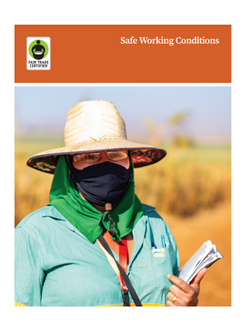 Portada del informe sobre condiciones de trabajo seguras de Fair Trade Certified