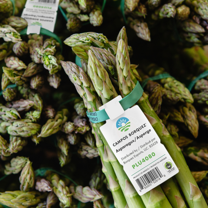 Campos Borquez Fair Trade Certified Asparagus