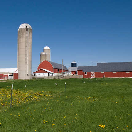 landscape photo of dairy farm