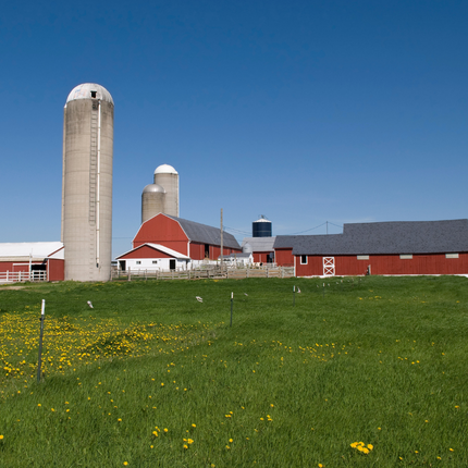 landscape photo of dairy farm landscape photo of dairy farm