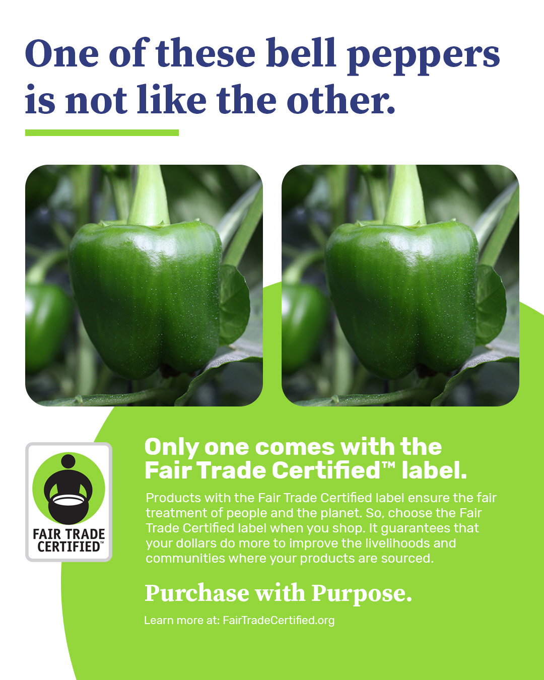 Un anuncio de la campaña “Compra con propósito” de Fair Trade Certified que muestra dos fotos idénticas de pimientos morrones, pero explica que una no es como la otra porque una cuenta con la etiqueta Fair Trade Certified.