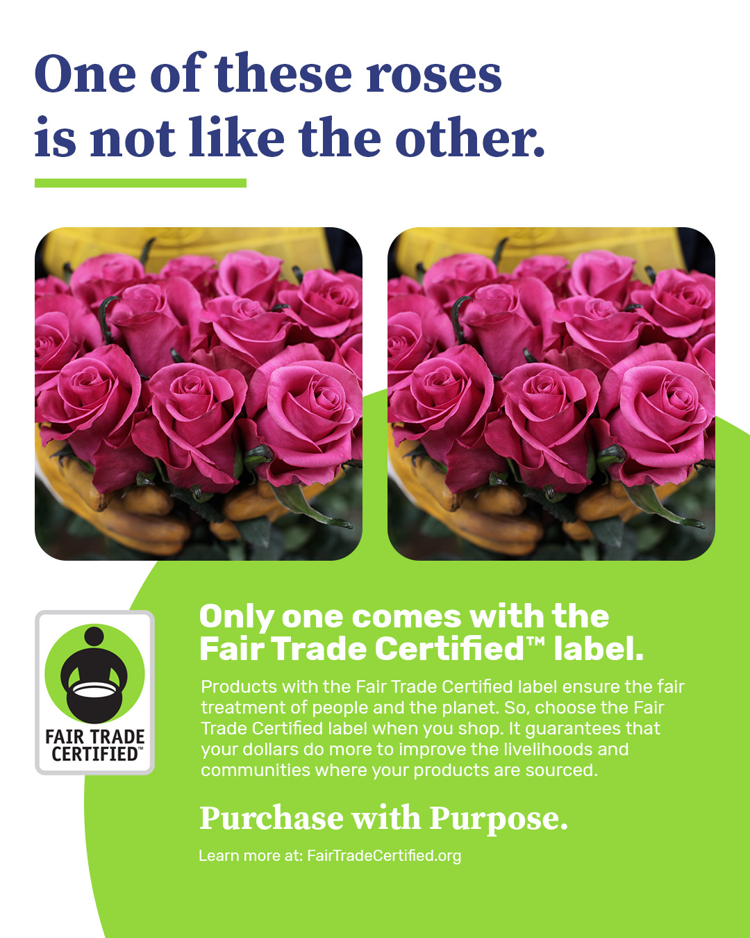 An ad from Fair Trade Certified's 'Purchase With Purpose' campaign that shows two identical photos of roses, but explains that one is not like the other because one features the Fair Trade Certified label.