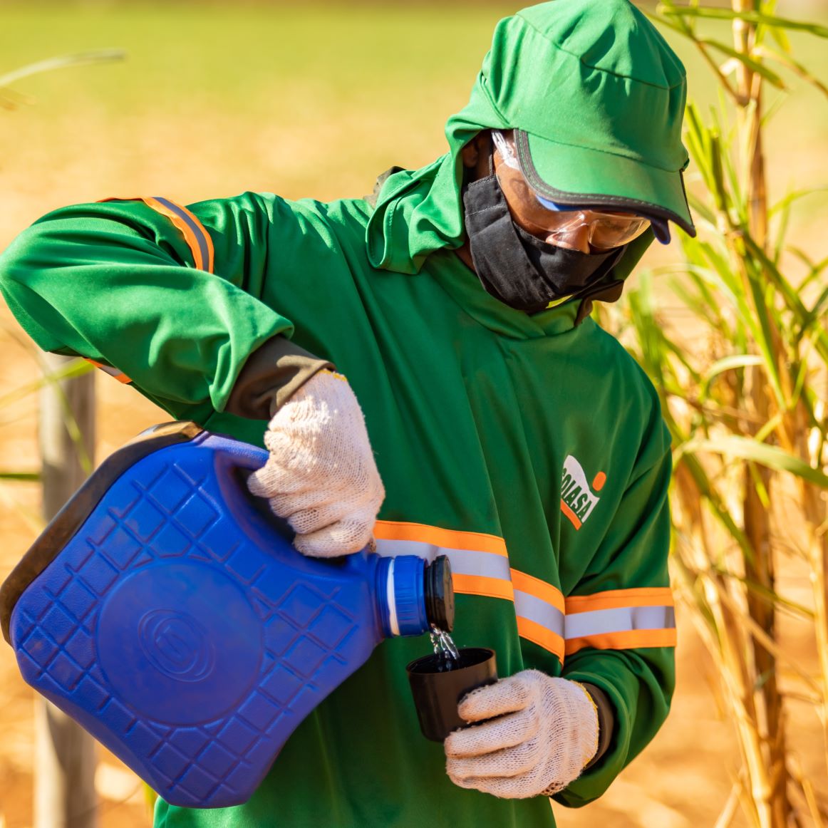 A field worker pours himself water at Usina Goiasa in Goiás, Brazil