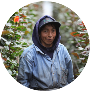 Carmen Pucuji, trabajadora en la producción de flores en una granja de rosas Fair Trade Certified