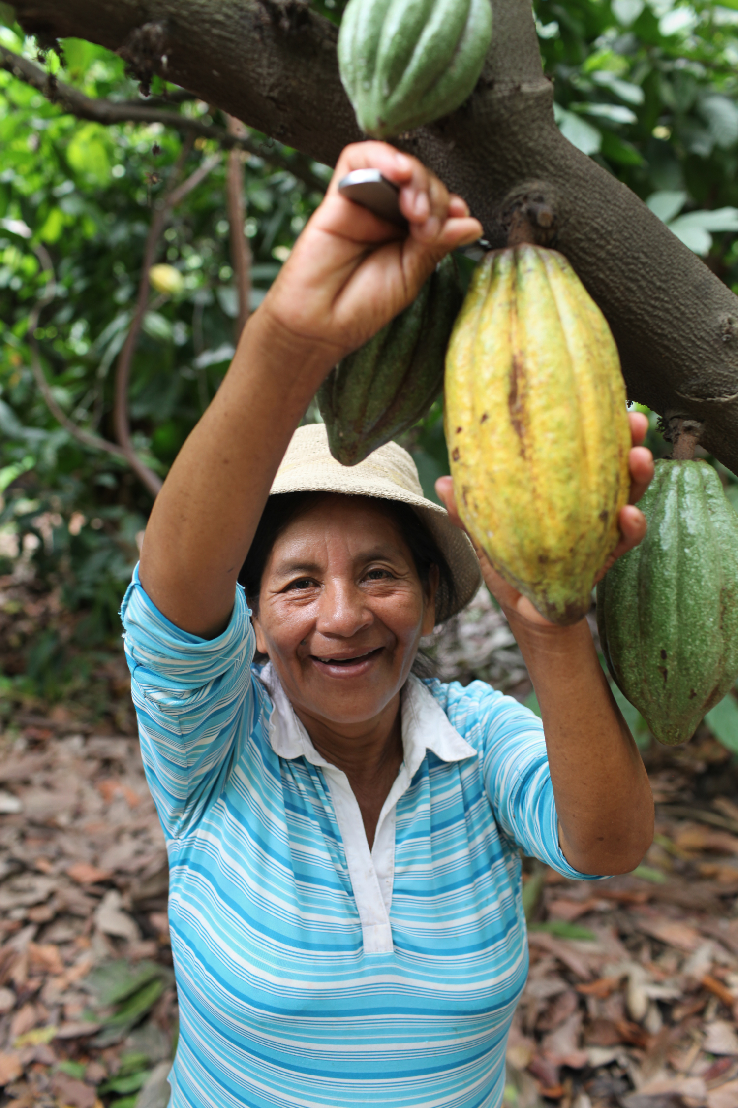 Mujeres productoras de café