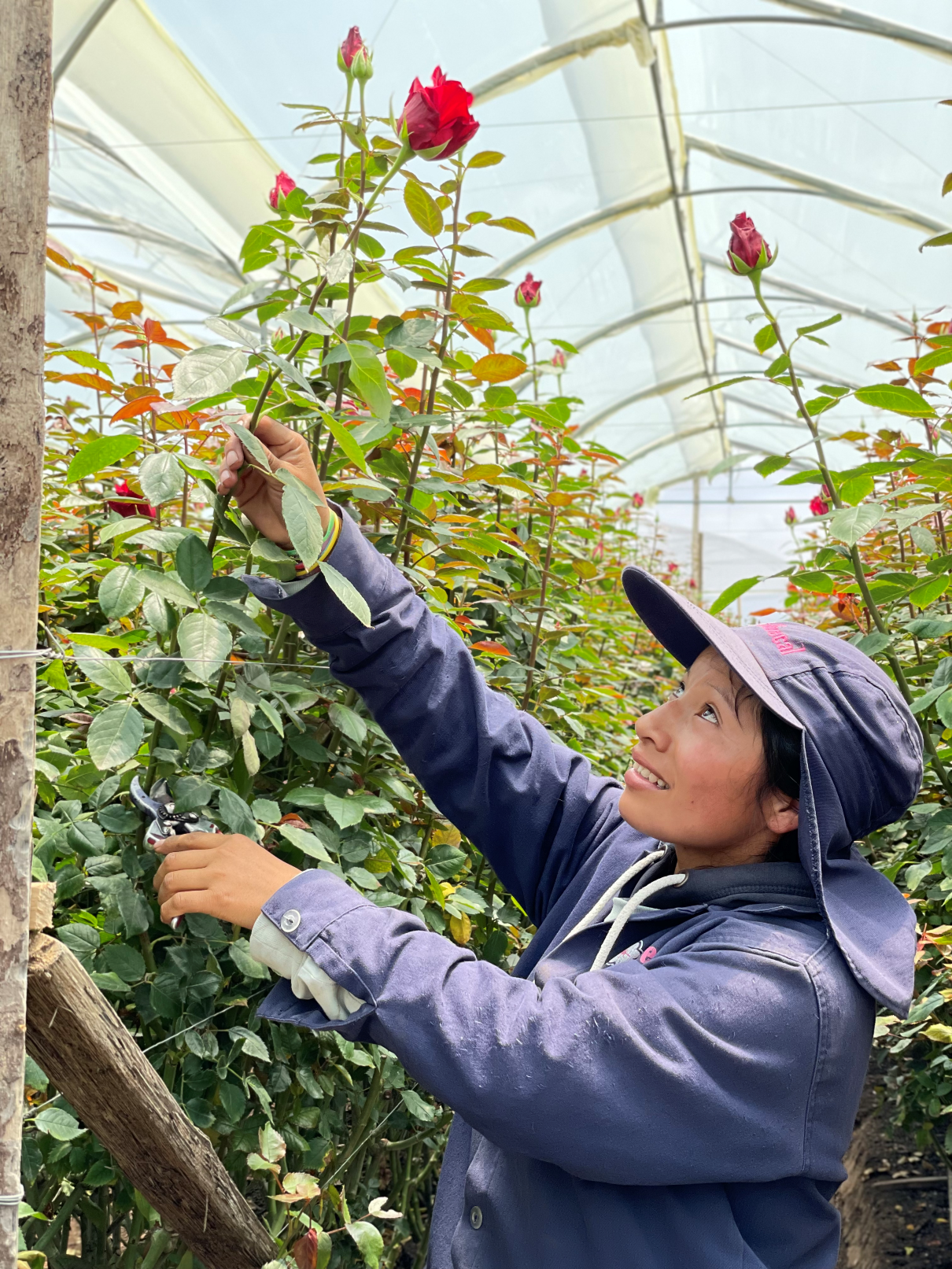 Trabajador floral en Florecal