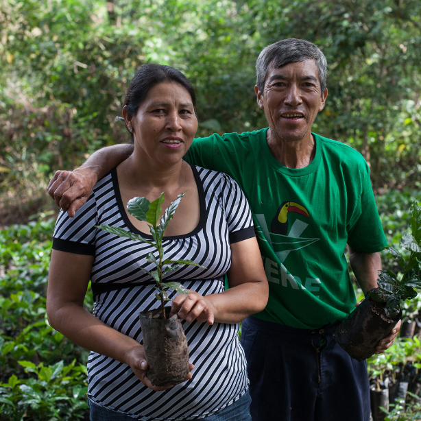 Jose Santos, a coffee farmer associated with Fair Trade Certified cooperative CEPICAFE