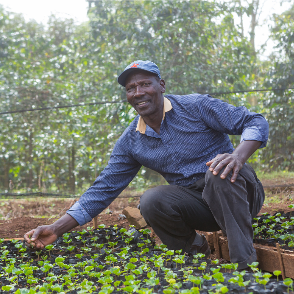 Productor de café en Kenia