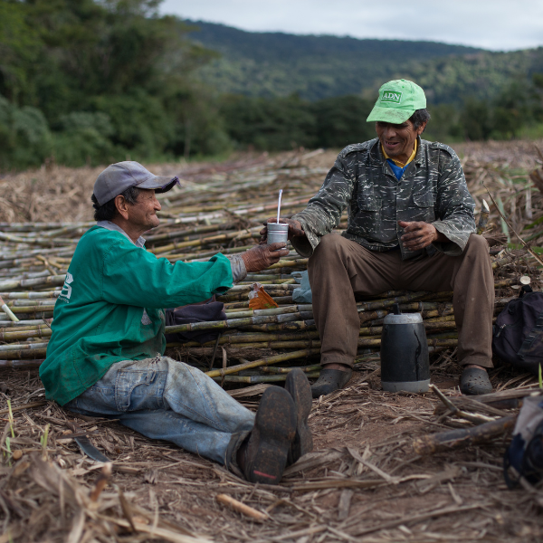 Dos trabajadores de una finca de caña de azúcar con Fair Trade Certified, levantando sus vasos de agua en un brindis.