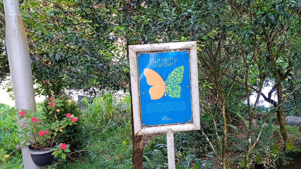Un verde jardín alberga un incipiente hábitat de mariposas en Sri Lanka, creado por CKT Apparel, una fábrica Fair Trade Certified.