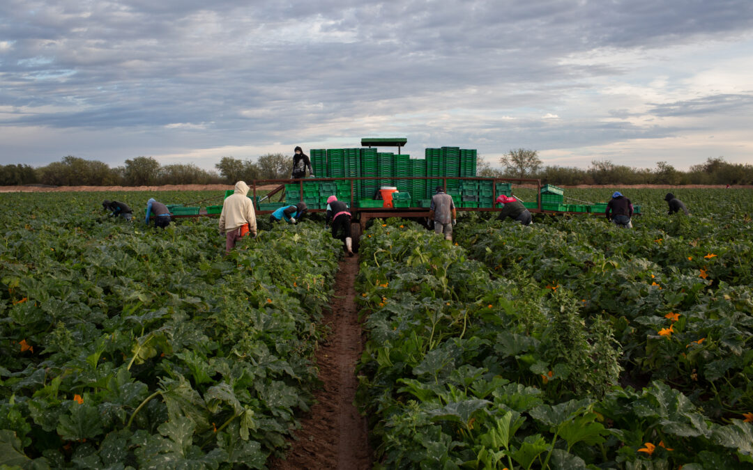 Worker Voices Matter: How Fair Trade USA™ Makes Sure Workers Come First