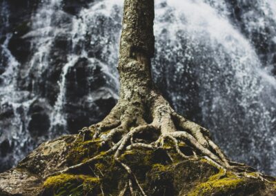 zach-reiner-hW11fwjzVfA-unsplash