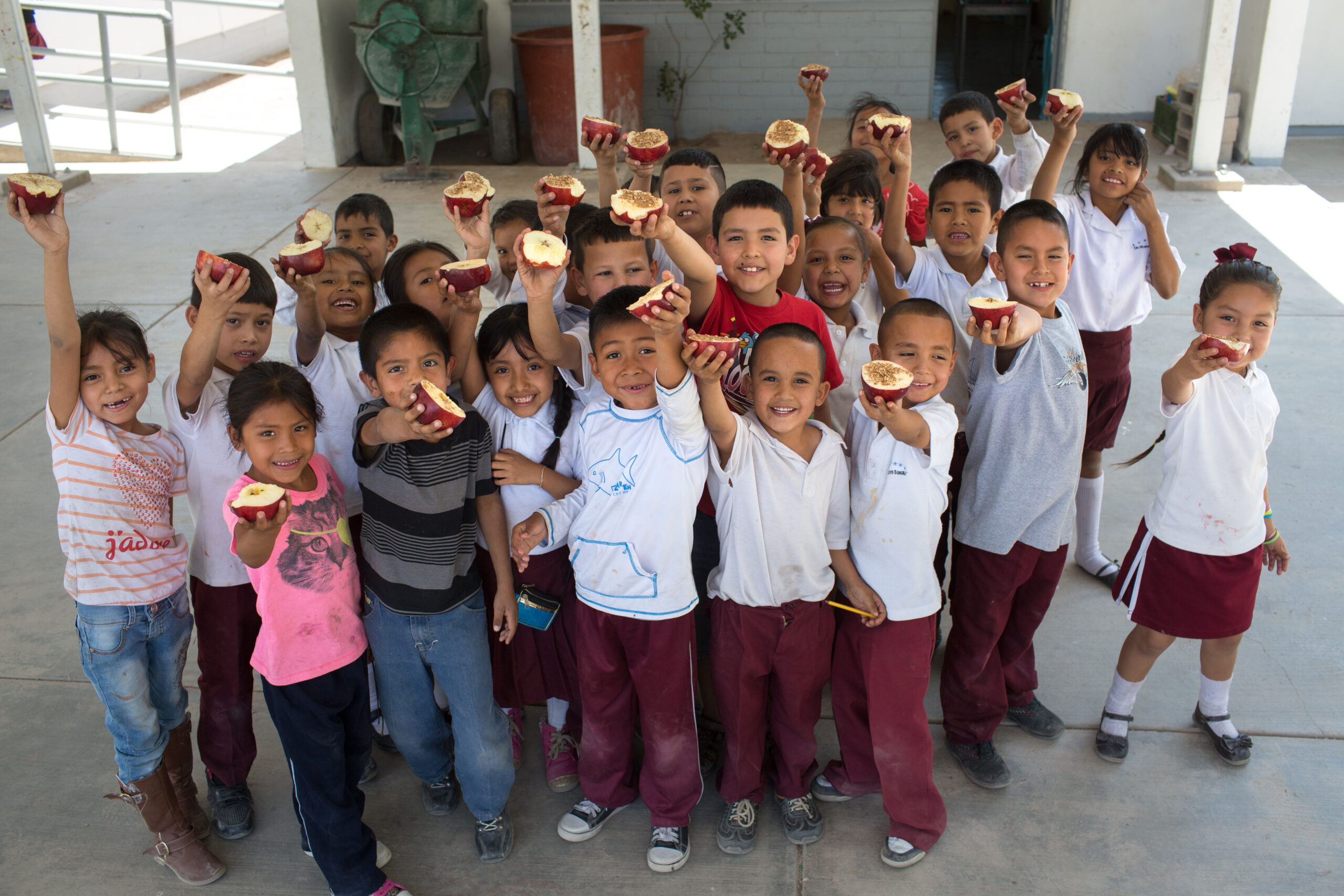 Wholesum, Fair Trade Certified Produce, Mexico