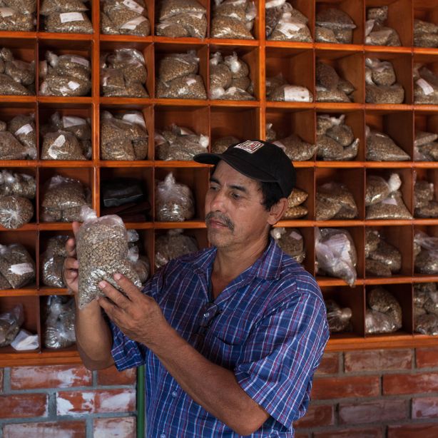 Man examining bag of coffee beans