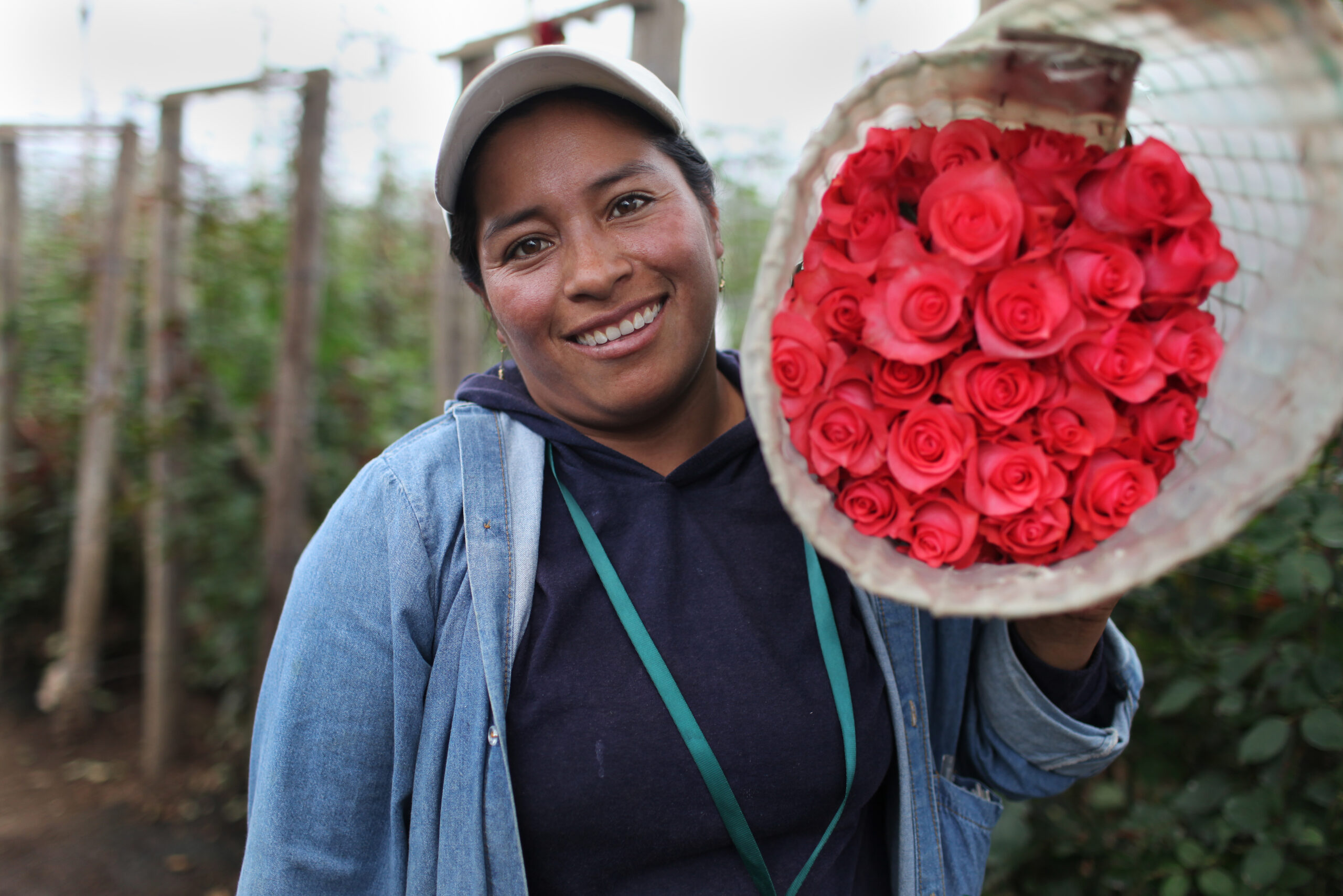 Elvia Almachi, from Guaytacama, Ecuador, holds a bundle of recently harvested Fair Trade-certified roses.