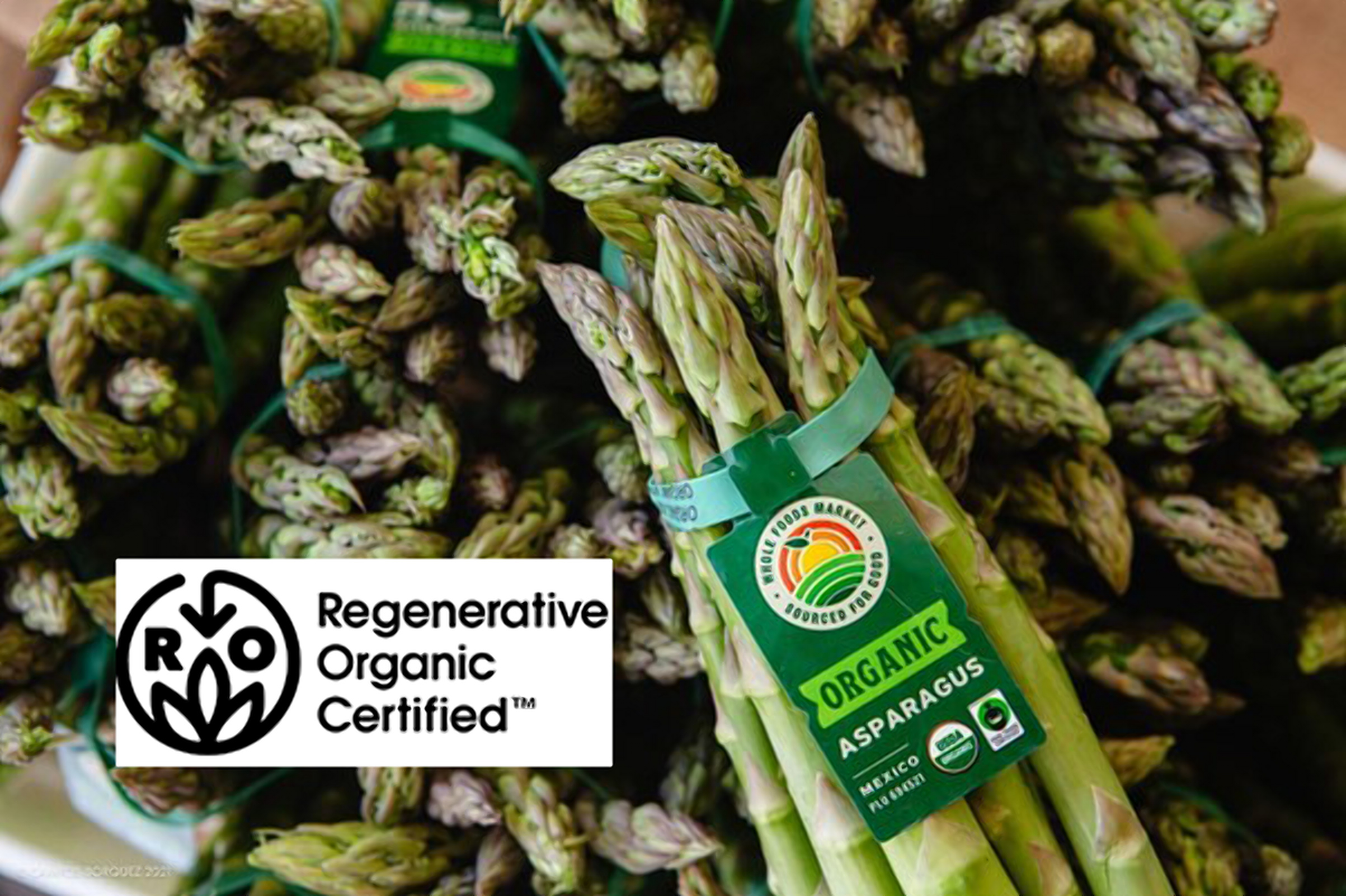 Lake Champlain's Hearts Aflutter Chocolate Collection