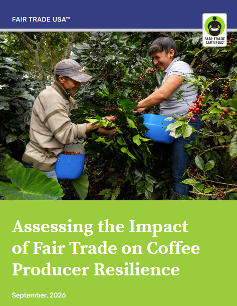 The Future of Fair Trade Coffee - Report Cover